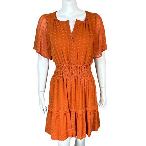 Anthropologie Somerset Mini Dress Large Swiss Polka Dot Pockets Ruffles Smocked - Picture 11 of 11